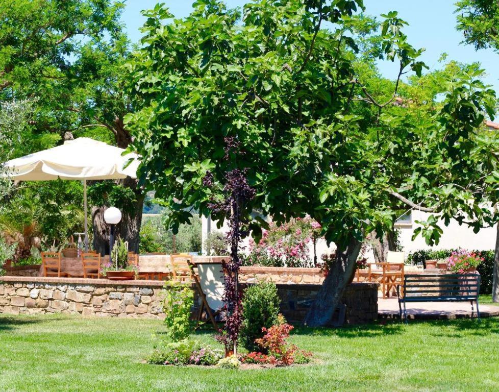 Agriturismo Vecchio Imposto Massa Marittima Exterior photo